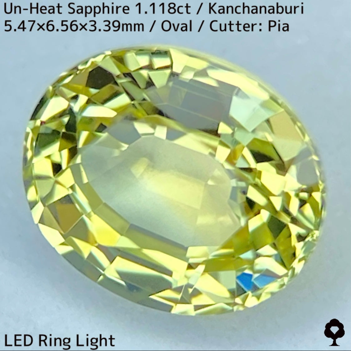 カンチャナブリー産非加熱サファイア1.118ct★弾けるライトグリニッシュイエローの強く美しい煌めき