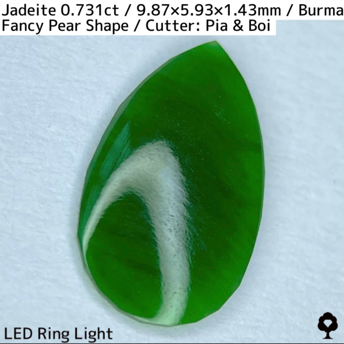 翡翠0.731ct★GTJ創業者大御所のセレクトのお手本翡翠に細やかな縁取り