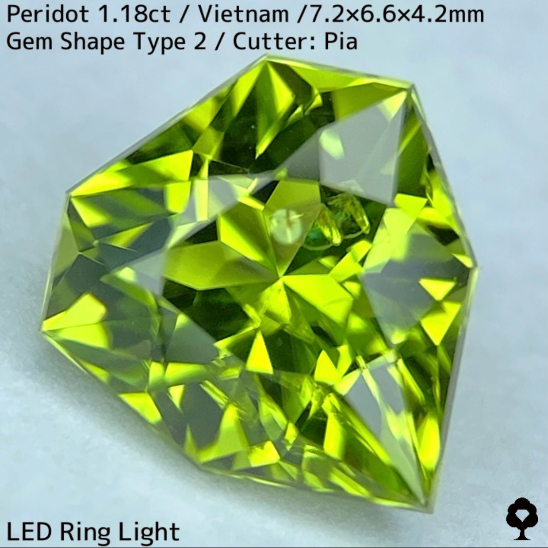 【ご当選者さま専用】ベトナム産ペリドット1.18ct★リリーパッド入り美色結晶の盾のような宝石形タイプ2
