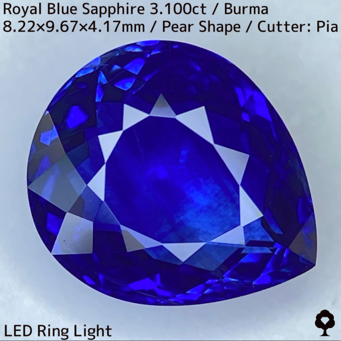 ビルマ産ロイヤルブルーサファイア3.100ct★ふっくらとした可愛いペアシェイプに仕上げられた趣ある超美色ロイヤルブルー