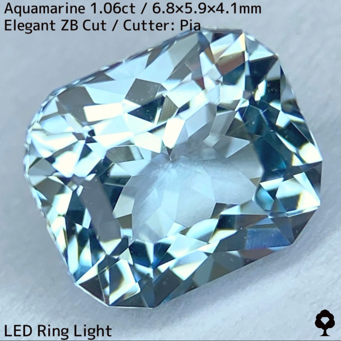 【お客さま専用】3月誕生石プライス★アクアマリン1.06ct★煌めき溢れるエレガントカットに宝石の形浮かぶZBカット
