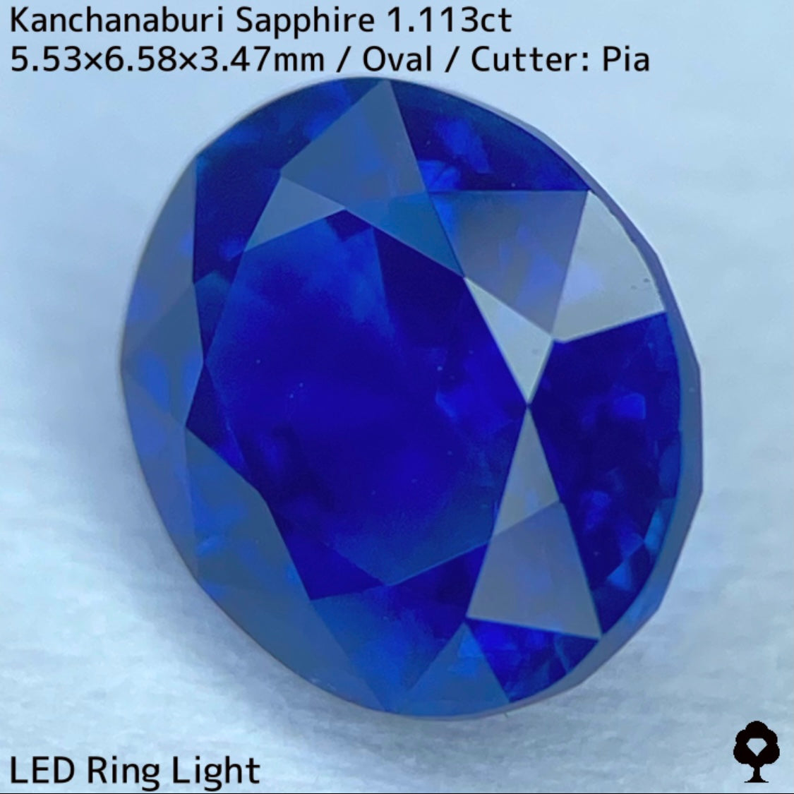 カンチャナブリー産サファイア1.113ct★カンチャらしいシルキーでほんのりグリニッシュなブルーの希少1ctアップ