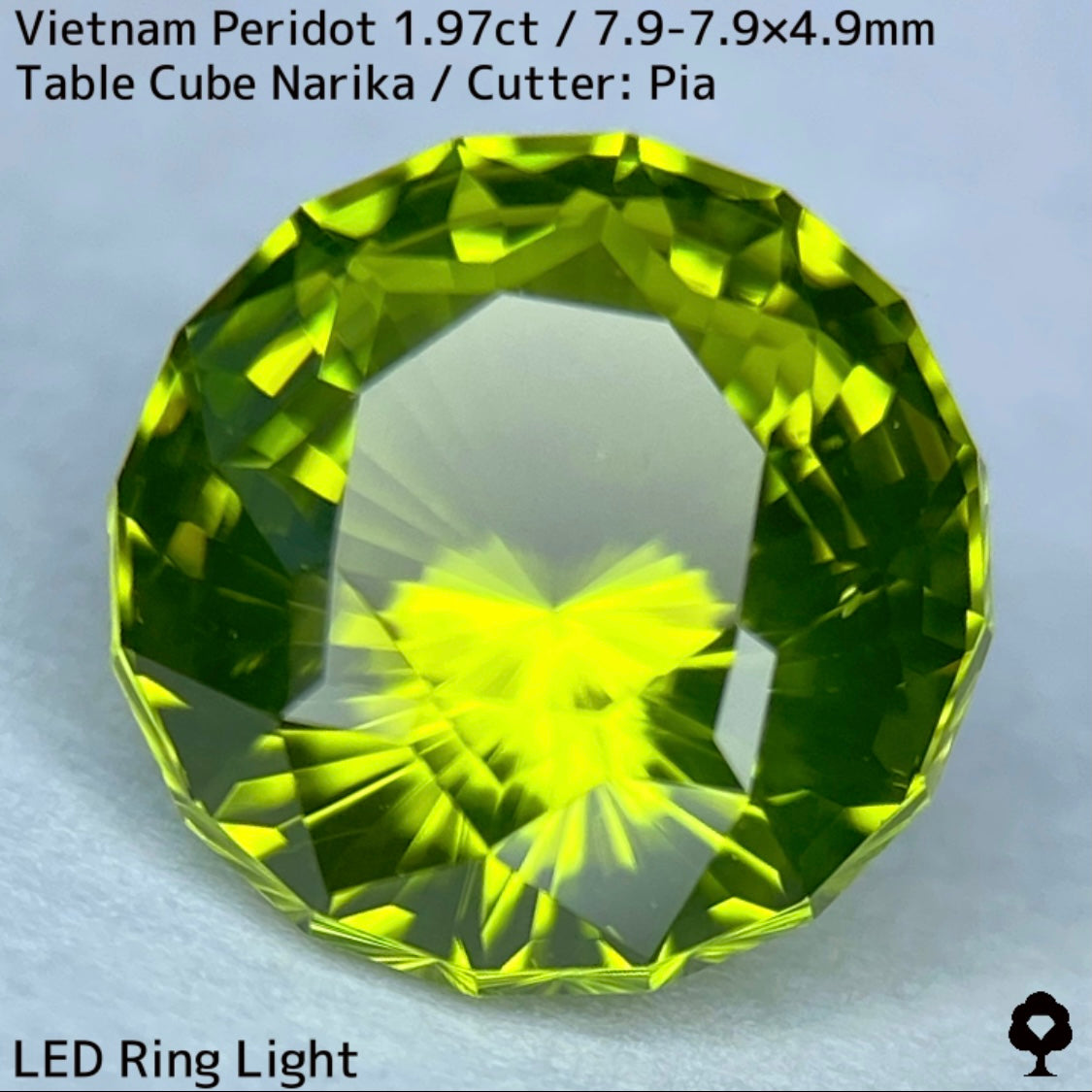 ベトナム産ペリドット1.97ct★さりげなくリリーパッドとシルキーさのある煌めき発色抜群のナリカーカット★