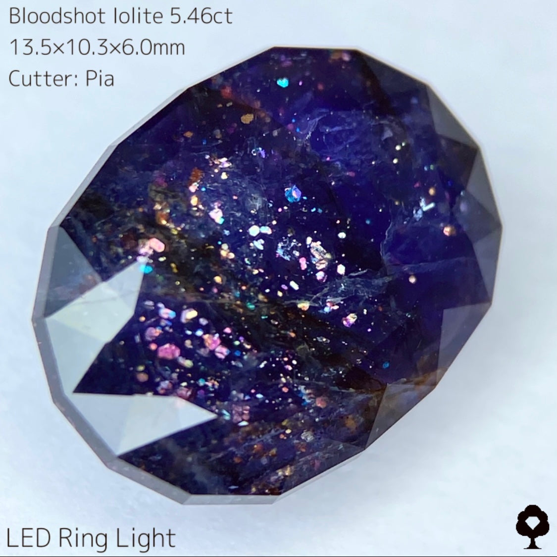 濃厚パープルに広がるカラフルな宇宙とブラッドショット★ブラッドショットアイオライト5.46ct