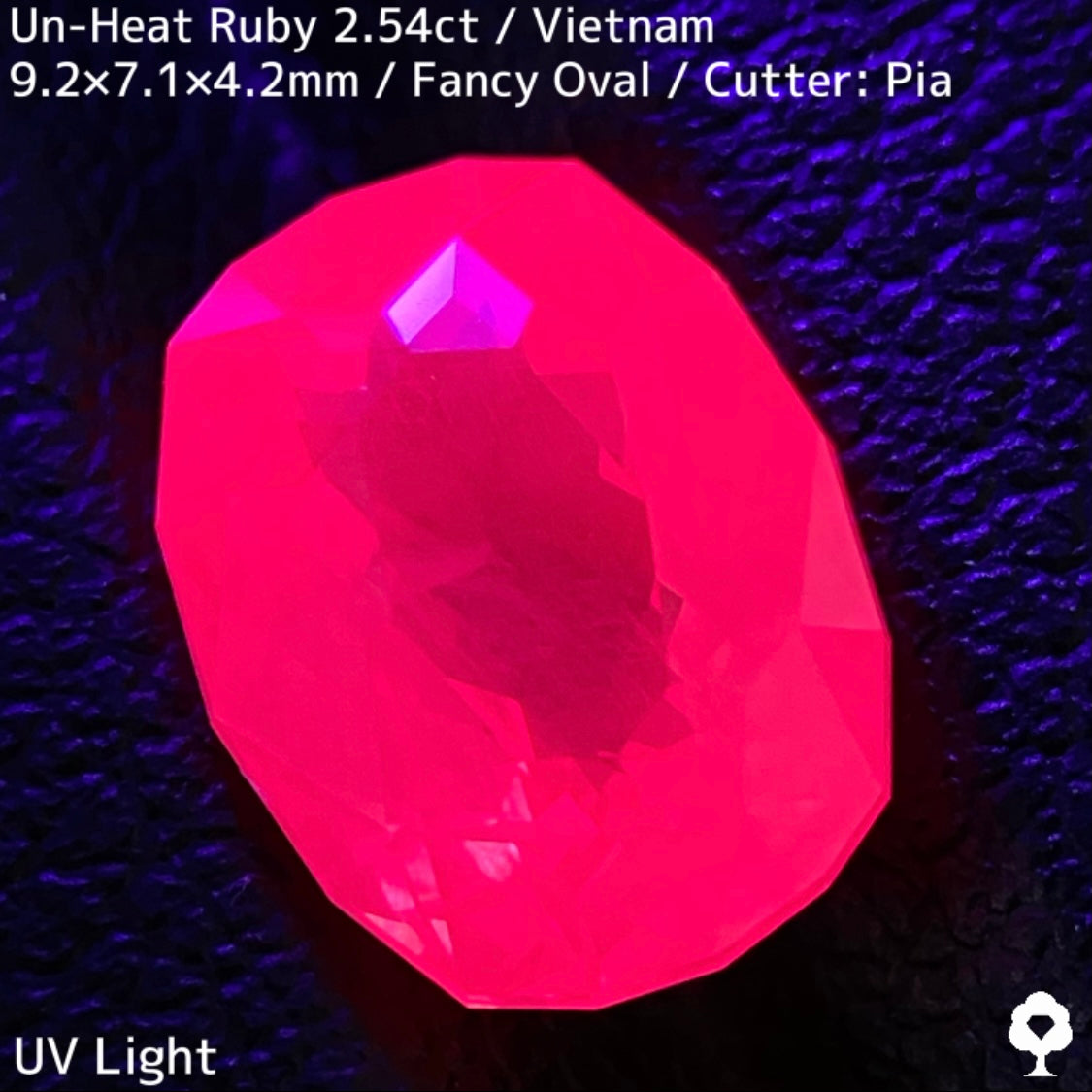 【ルビーフォーカス一級便作品】ベトナム産非加熱ルビー2.54ct