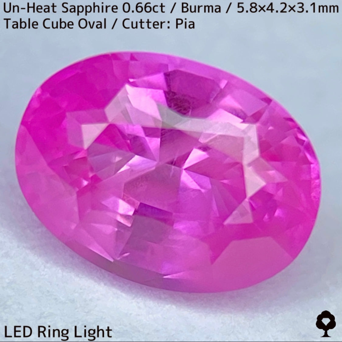 【お客さま専用】ビルマ産非加熱サファイア0.66ct★クリアさもあるシルキーピンクの可愛い強蛍光オーバル