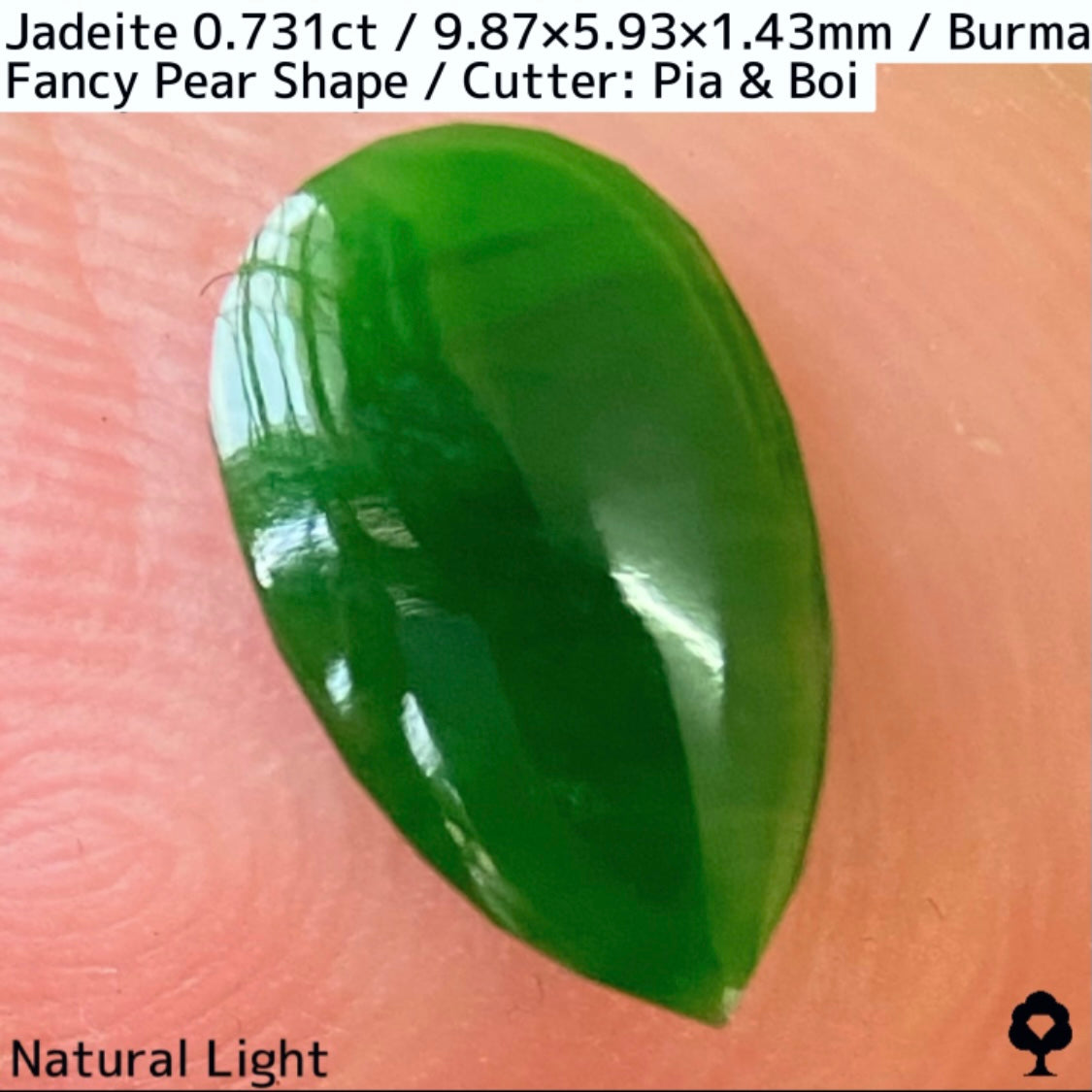 翡翠0.731ct★GTJ創業者大御所のセレクトのお手本翡翠に細やかな縁取り