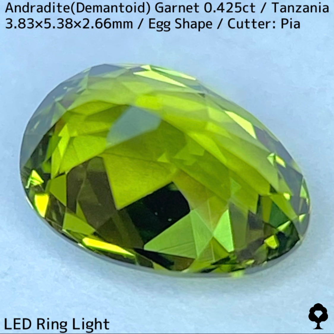 タンザニア産アンドラダイト(デマントイド)ガーネット0.425ct★程よい濃さの美グリーンから煌めき止まらないキュートなエッグシェイプ