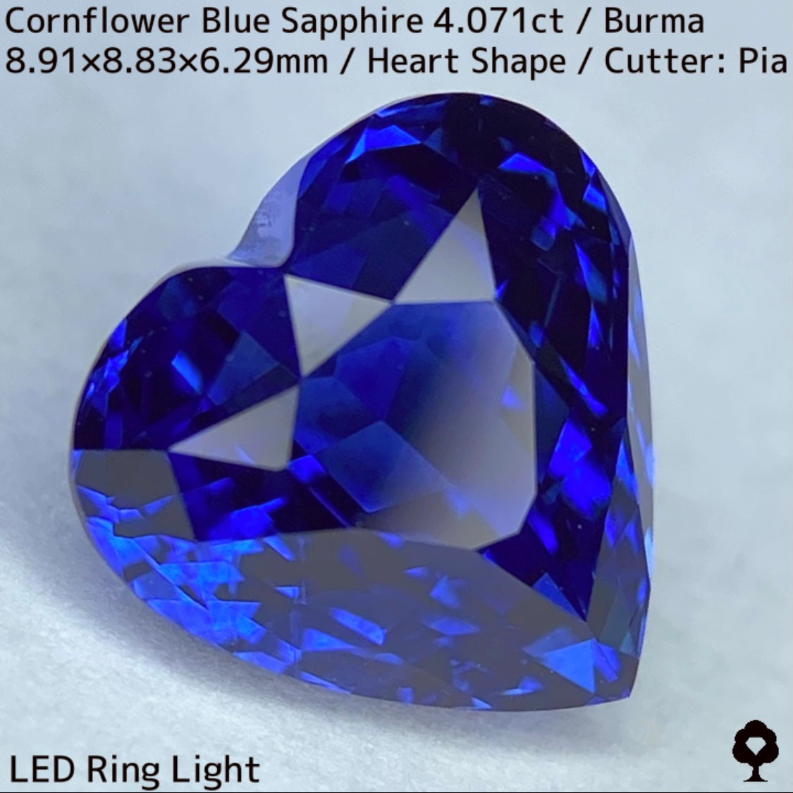 ビルマ産コーンフラワーブルーサファイア4.071ct★ロイヤルブルー寄りの濃いめ最高コーンフラワーブルーが美しすぎる超一級品