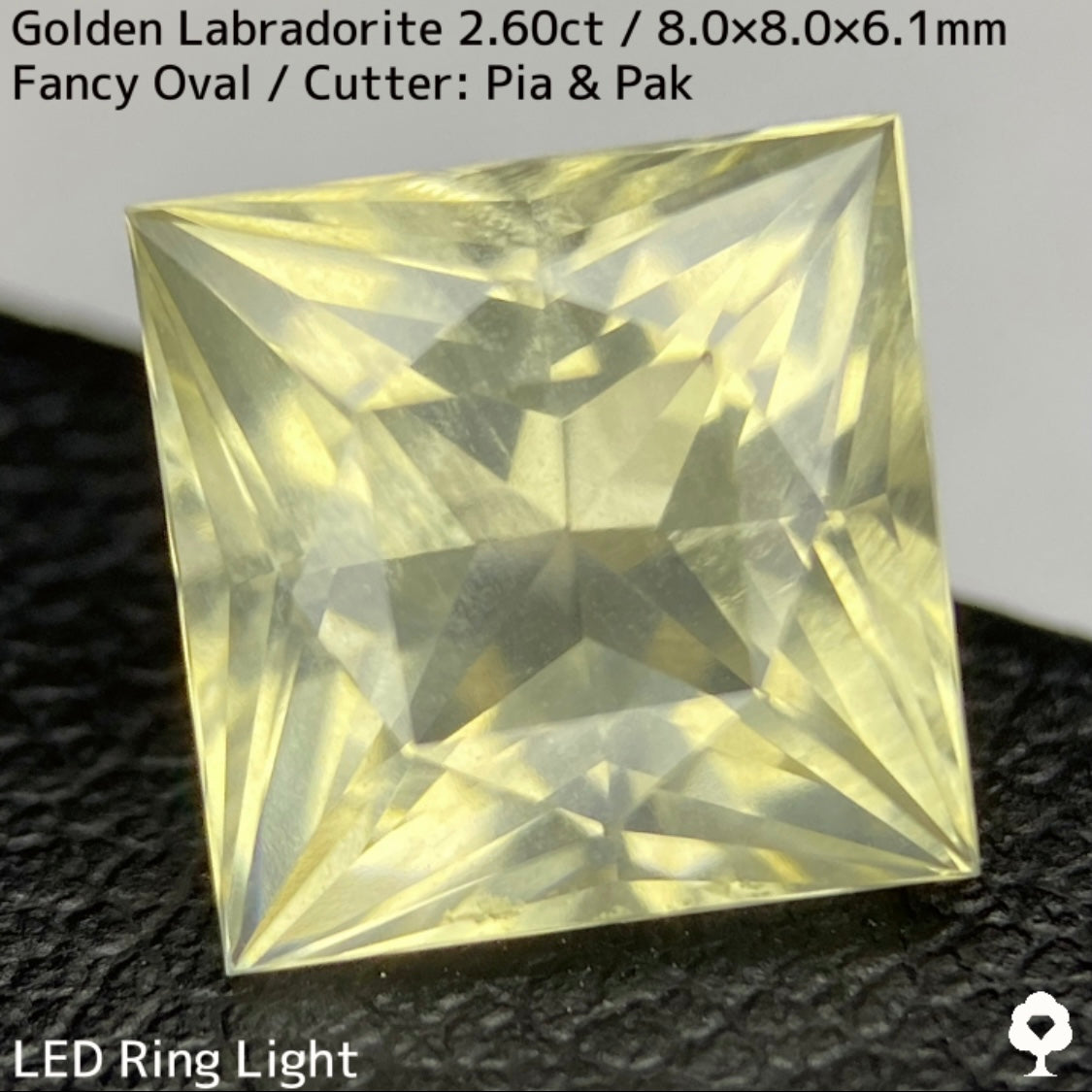 ゴールデンラブラドライト2.60ct★折り重なるラインのシラーとプリンセスのシャープなカットが美しい★同じロットの原石付き