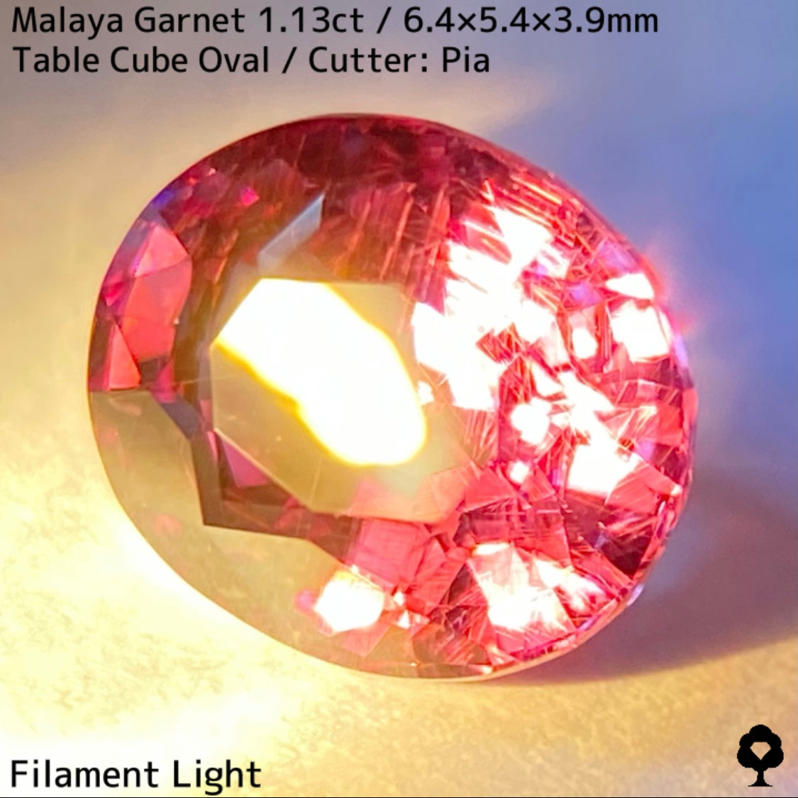 【ご当選者さま専用】マラヤガーネット1.13ct★光や時間によって変わる美ピンクの針インクル入り美結晶は煌きが止まらない