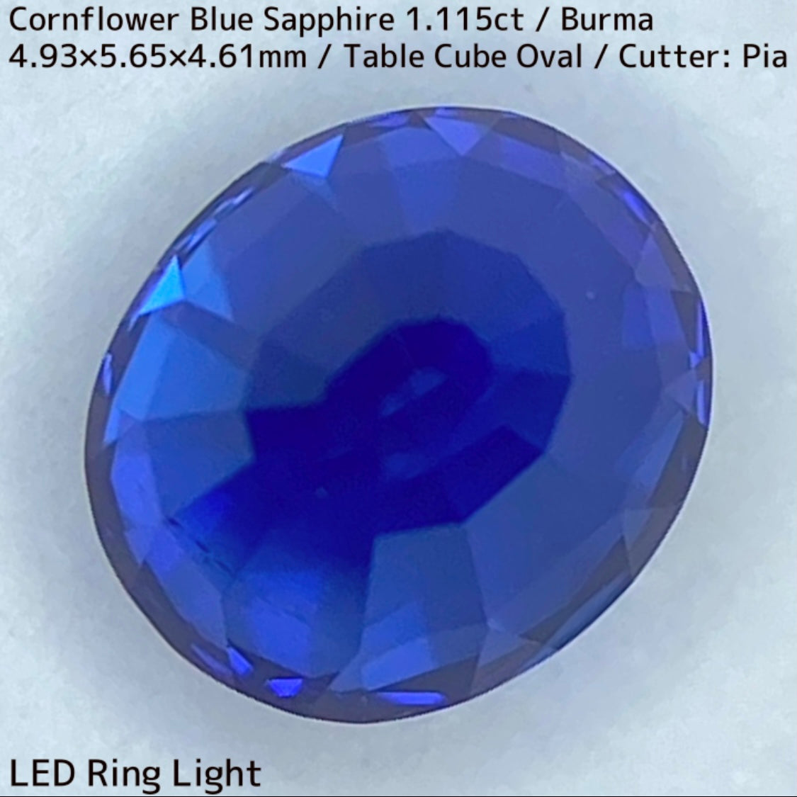 ビルマ産コーンフラワーブルーサファイア1.115ct