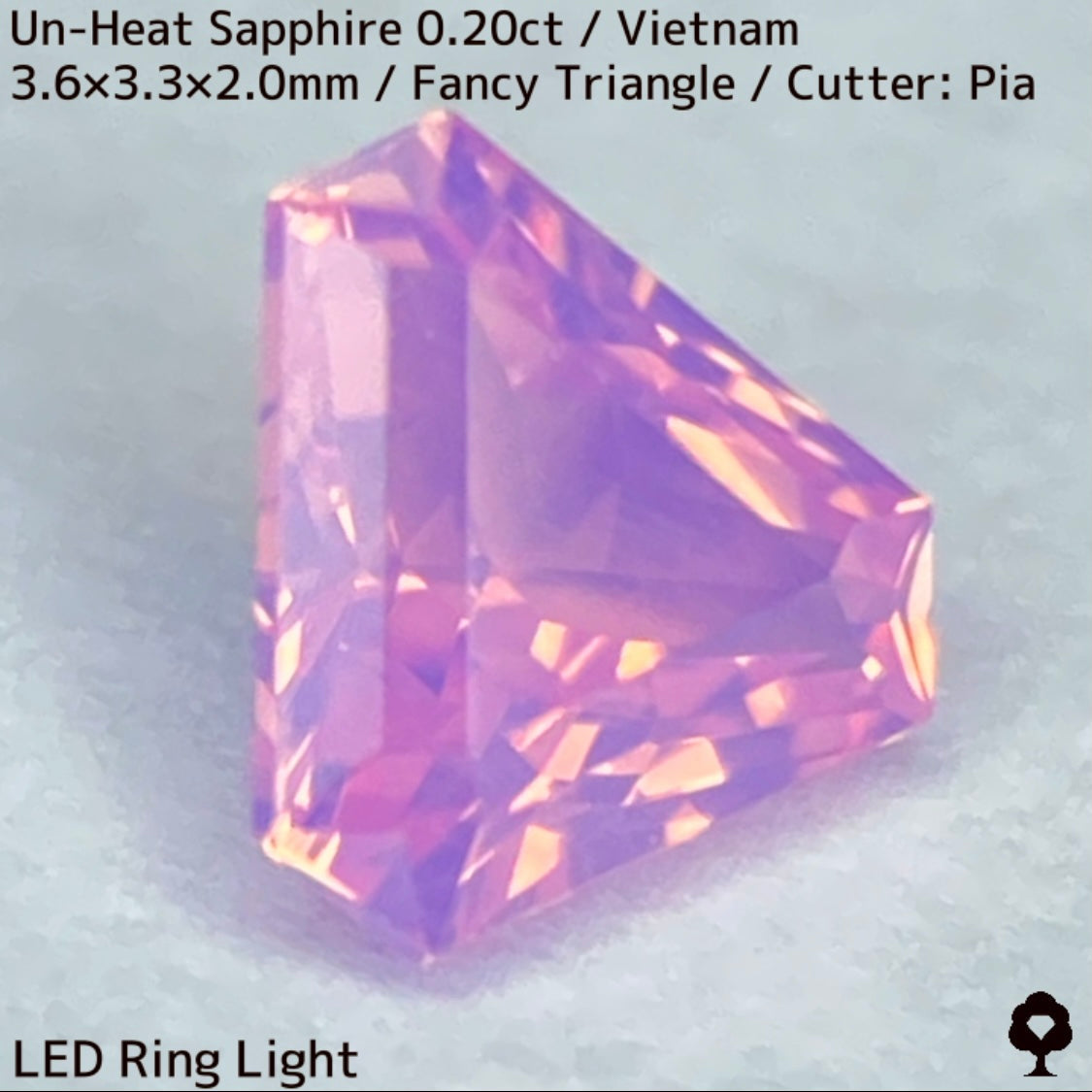 【ご当選者さま専用】ベトナム産非加熱サファイア0.204ct★デルタ形シェイプのシルキーピンクに詰まった煌めきのお花畑