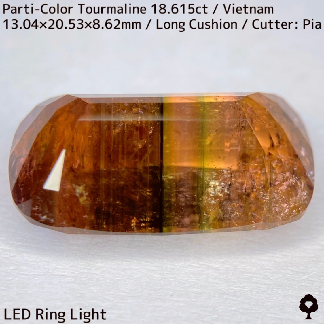 ベトナム産パーティカラートルマリン18.615ct★金屏風桜と夜桜を一石で楽しめる趣深いベトナム巨石