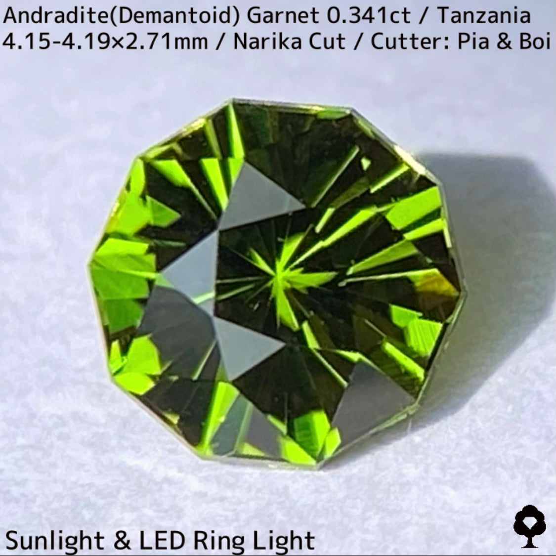 タンザニア産アンドラダイト(デマントイド)ガーネット0.341ct★希少産地の曇りなき美色美結晶の抜群カット