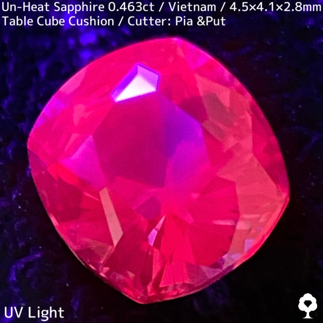 ベトナム産非加熱サファイア0.463ct★ベトナム産の魅力がたまりに詰まったウィンザー産のような美パープリッシュピンク