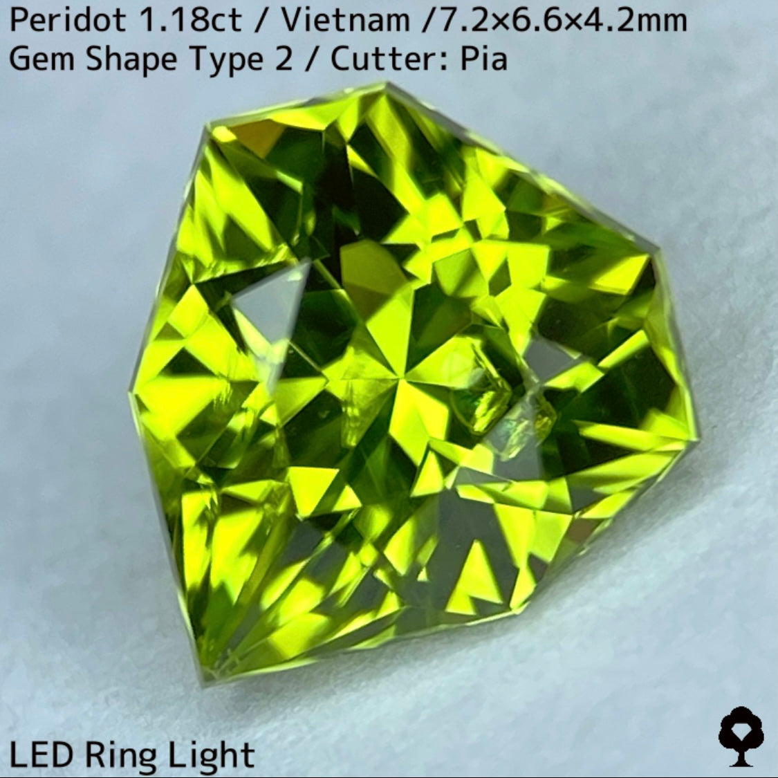 【ご当選者さま専用】ベトナム産ペリドット1.18ct★リリーパッド入り美色結晶の盾のような宝石形タイプ2