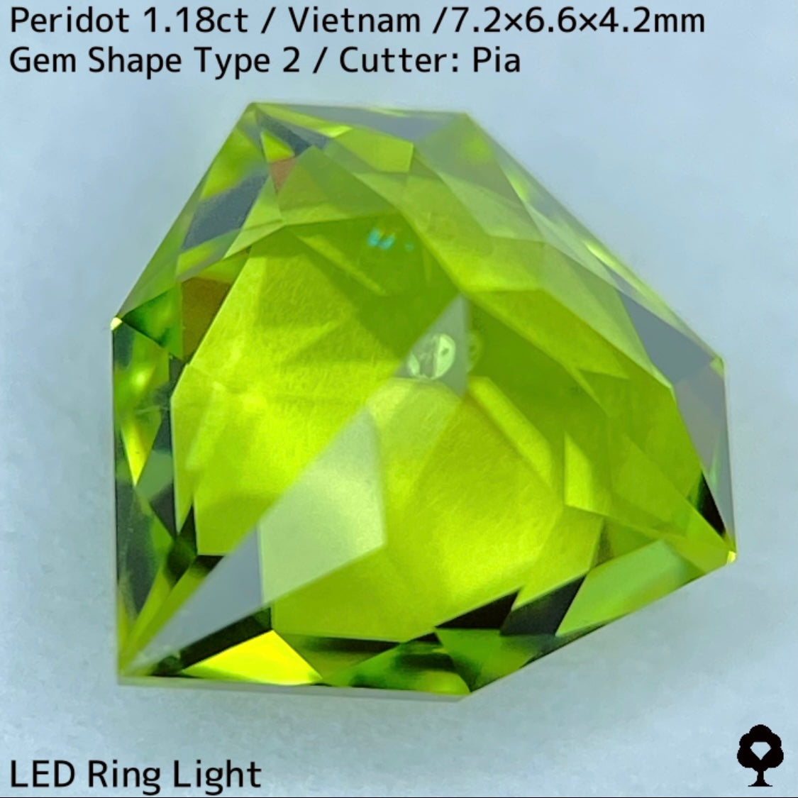 【ご当選者さま専用】ベトナム産ペリドット1.18ct★リリーパッド入り美色結晶の盾のような宝石形タイプ2