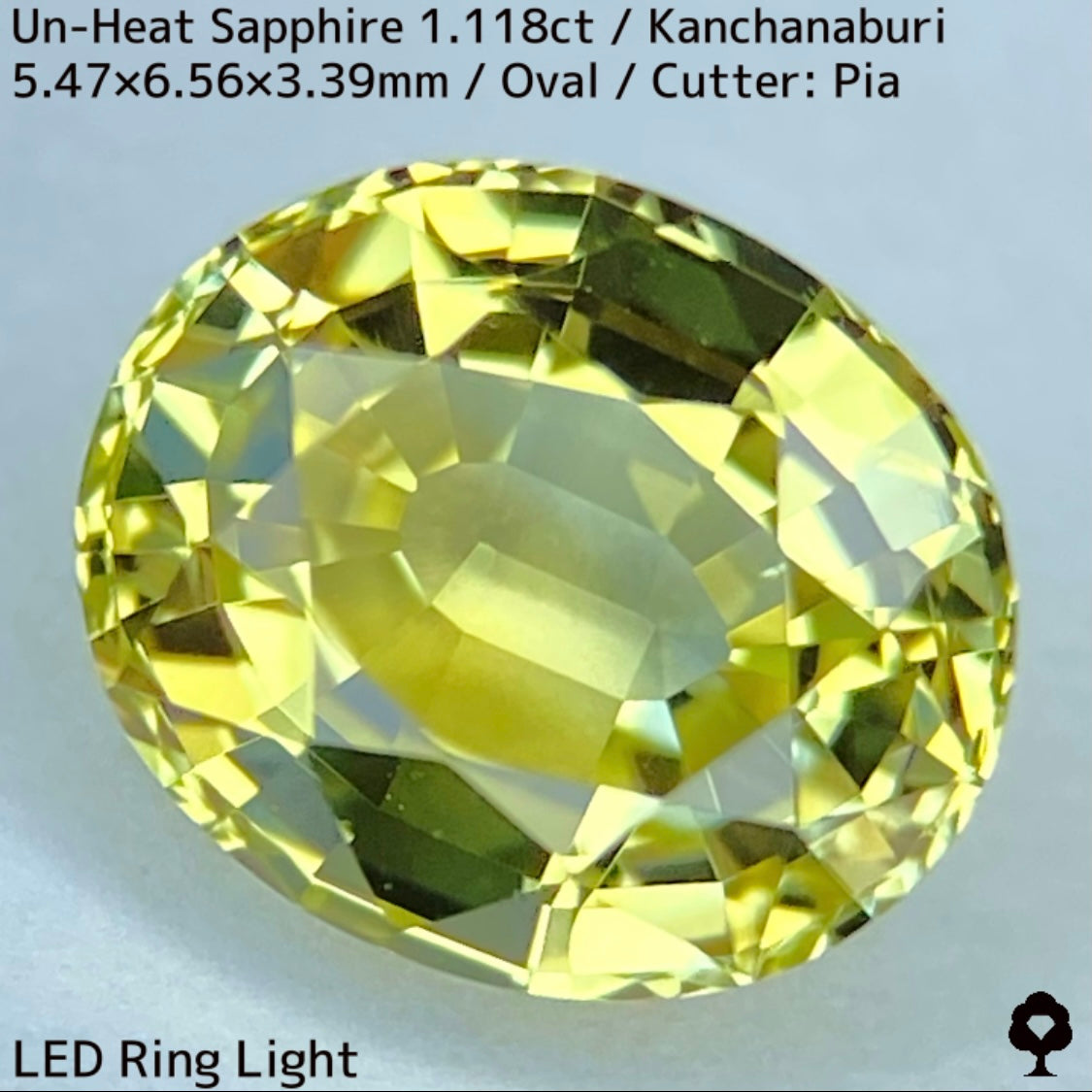 カンチャナブリー産非加熱サファイア1.118ct★弾けるライトグリニッシュイエローの強く美しい煌めき