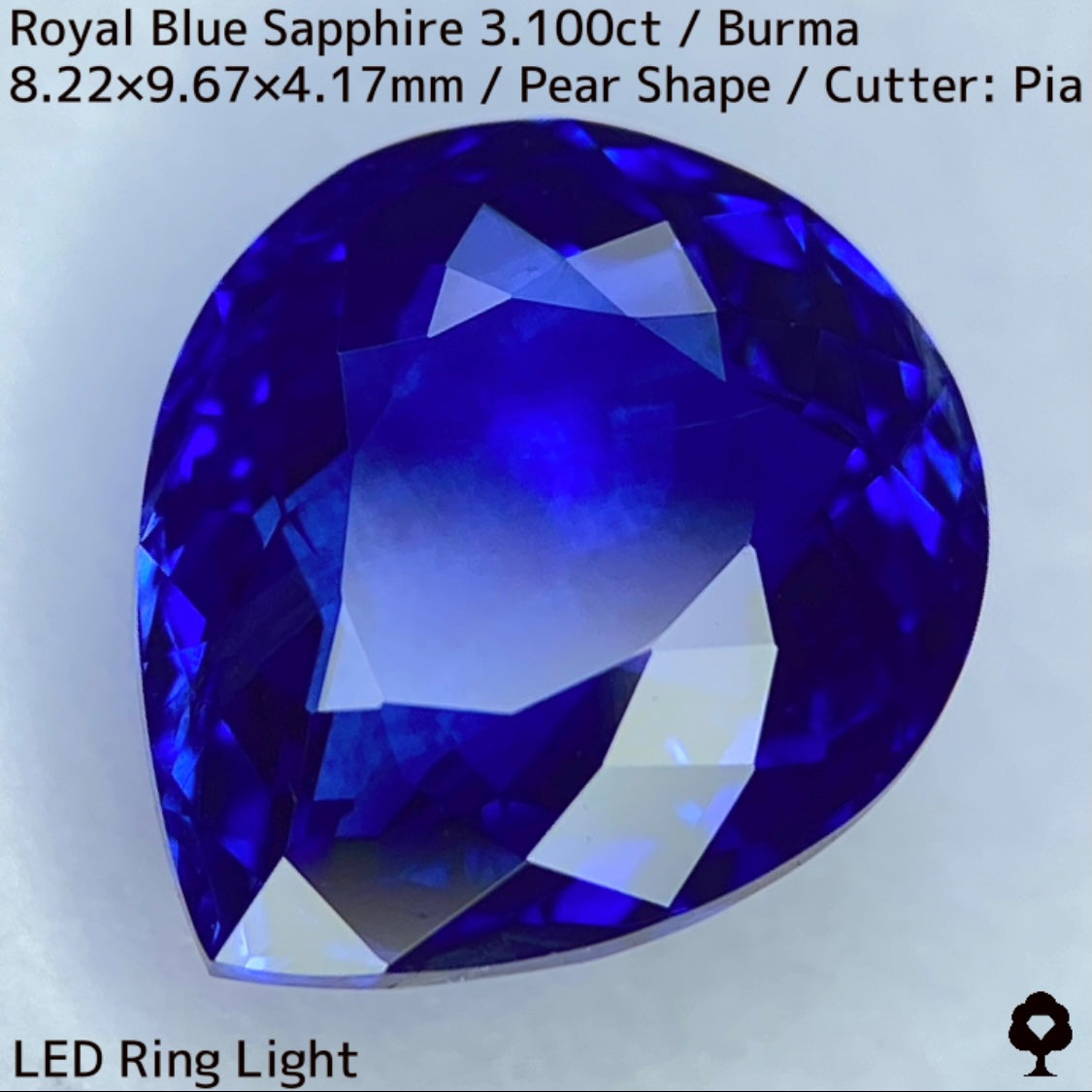 ビルマ産ロイヤルブルーサファイア3.100ct★ふっくらとした可愛いペアシェイプに仕上げられた趣ある超美色ロイヤルブルー
