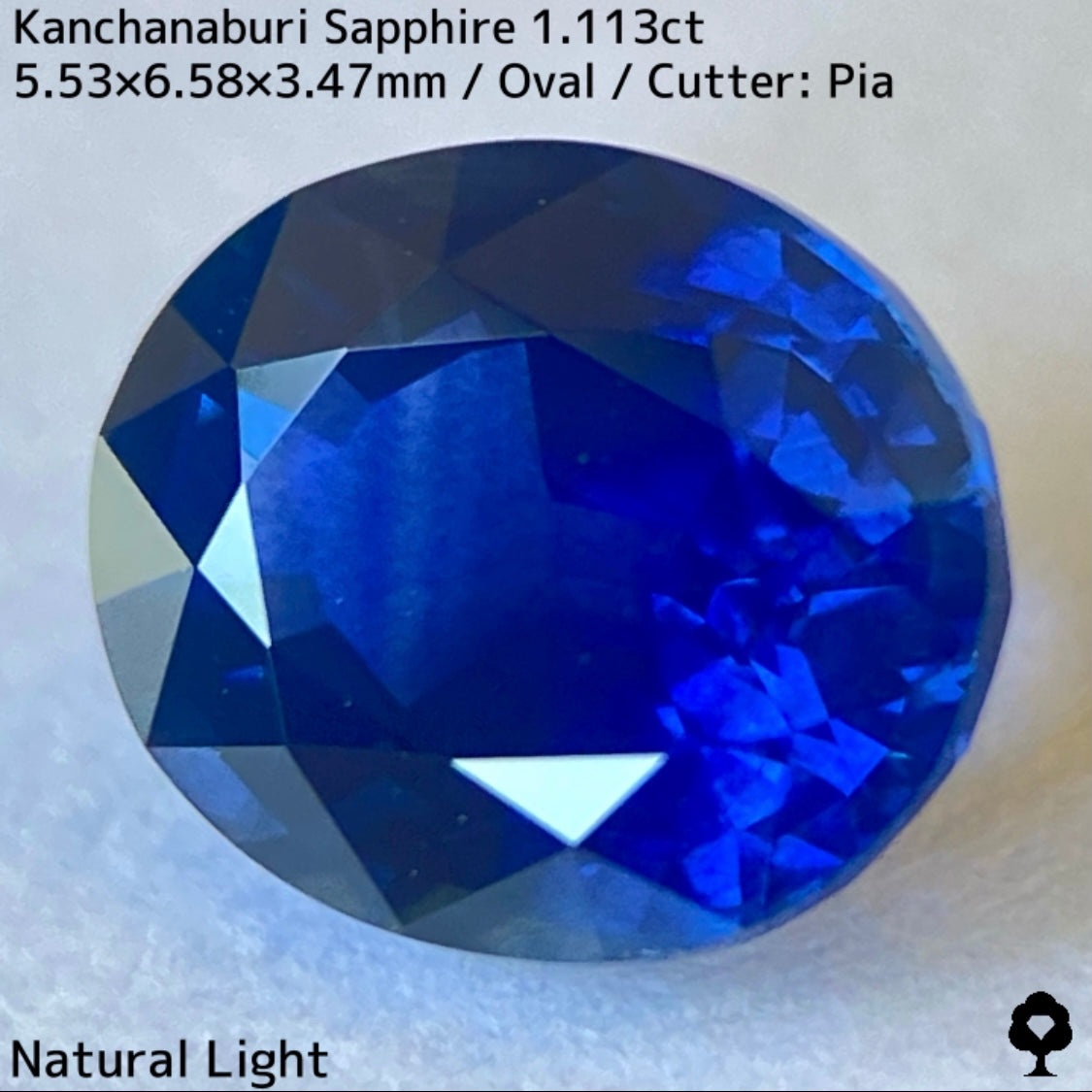カンチャナブリー産サファイア1.113ct★カンチャらしいシルキーでほんのりグリニッシュなブルーの希少1ctアップ
