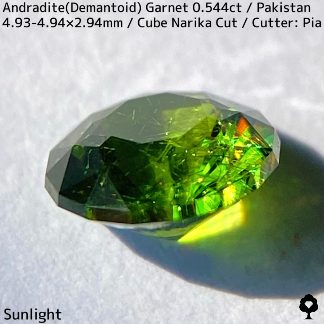 パキスタン産アンドラダイト(デマントイド)ガーネット0.544ct★ナリカーカットに渦巻くホーステールがたまらない美色グリーン