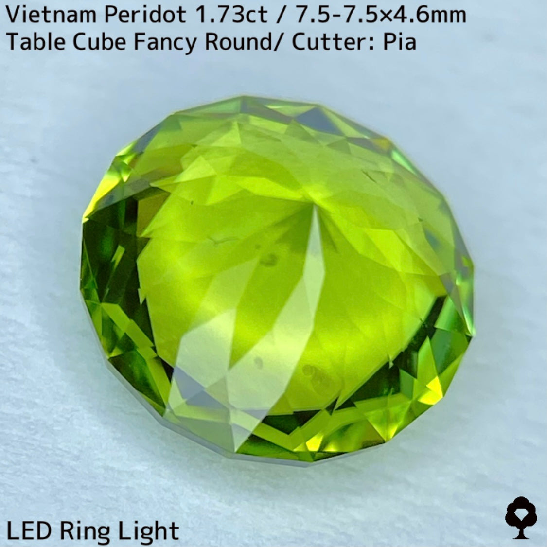 ベトナム産ペリドット1.73ct★リリーパッド浮かぶ万華鏡のような美しいフラワーカット美色結晶