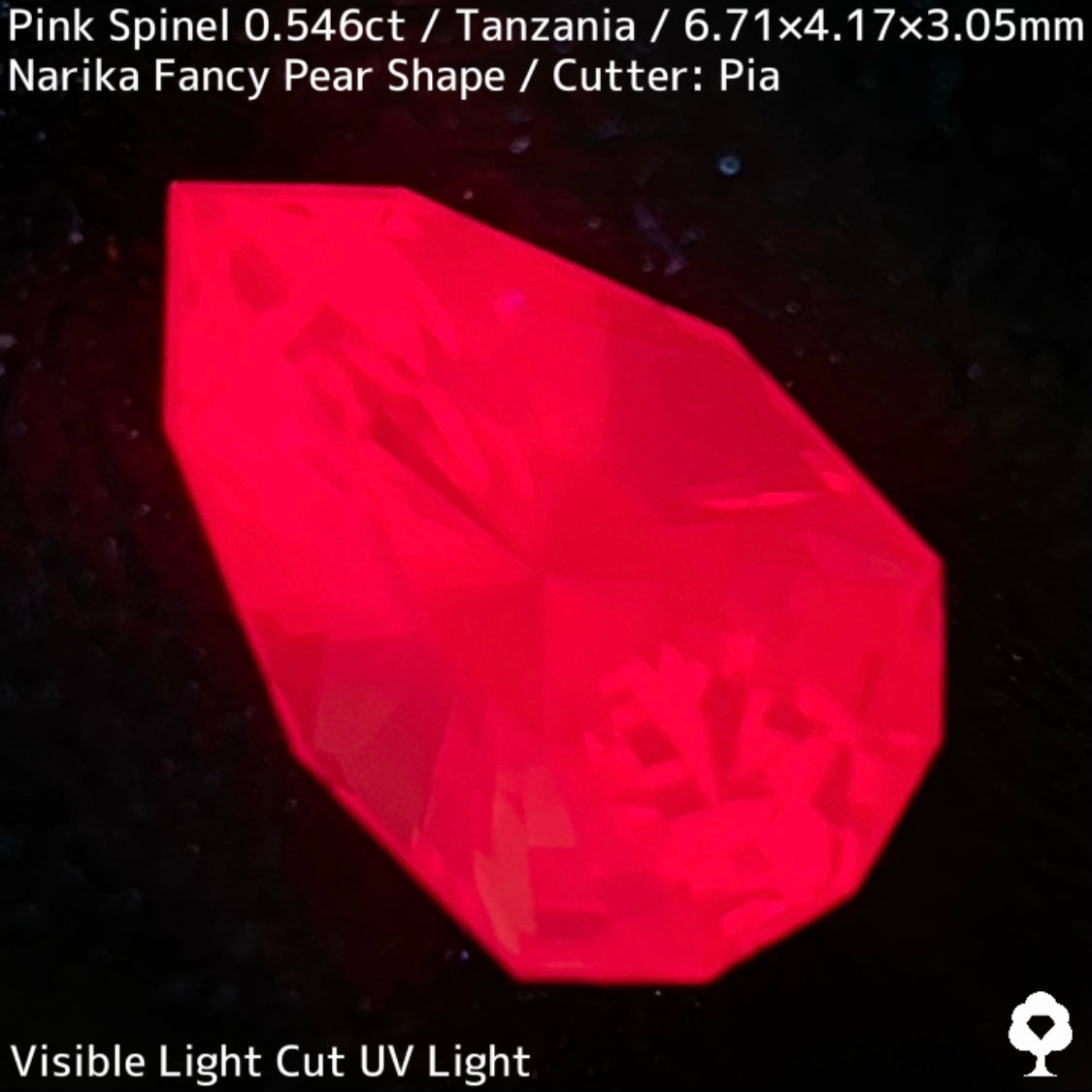 タンザニア産ピンクスピネル0.546ct★シルキーネオンのたまらない美色ピンクナリカーペアシェイプ