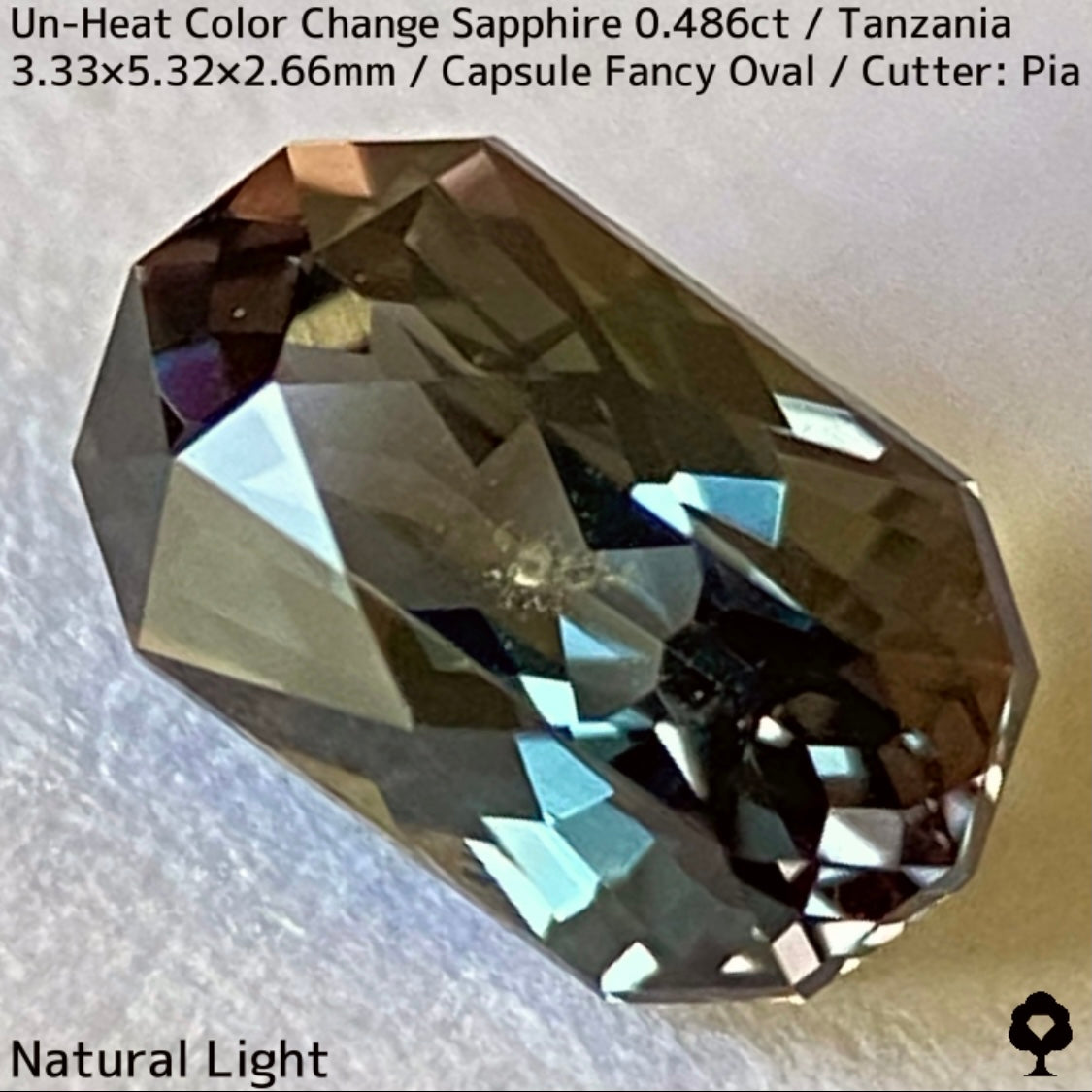 タンザニア産非加熱カラーチェンジサファイア0.486ct★深みの中に潜む多色感とゴールドシルクの銀河広がる