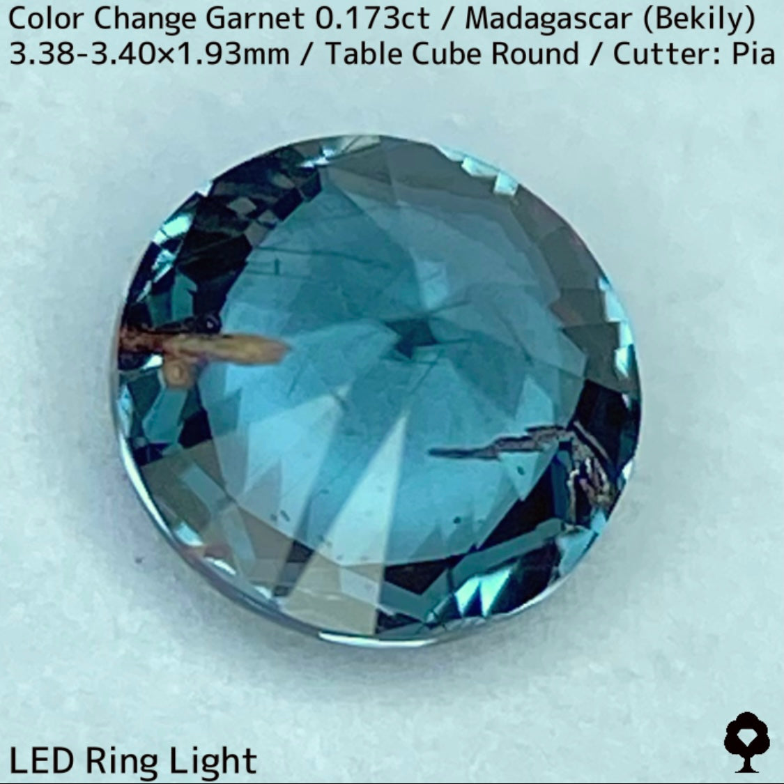 ベキリーカラーチェンジガーネット0.173ct★美しいブルーグリーンからパープリッシュピンクに変わるアレキタイプは内包物も面白い