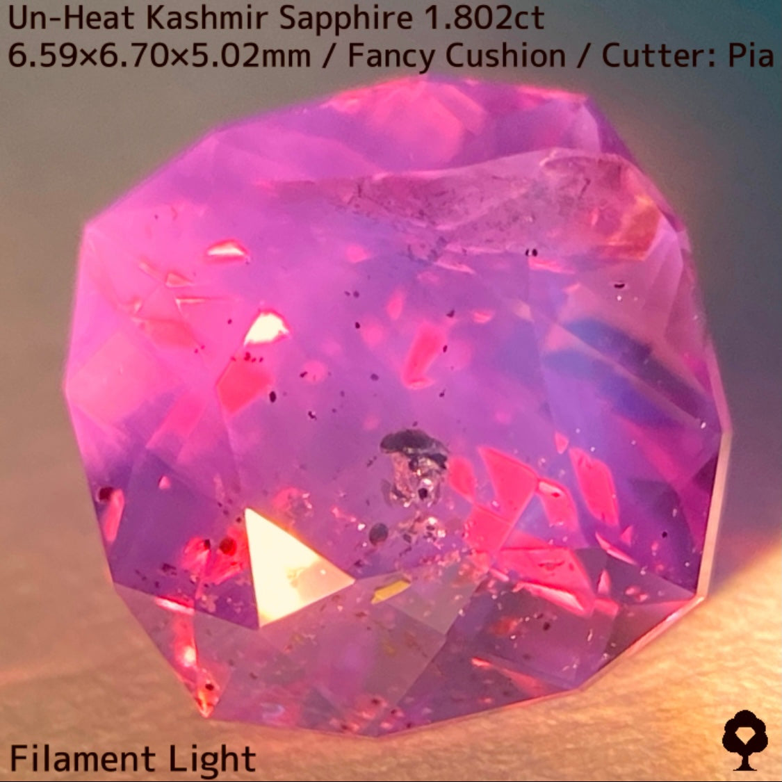パキスタン産非加熱カシミールサファイア1.802ct★希産カシミールのらしさ全開の名品を色んな光源で楽しんで