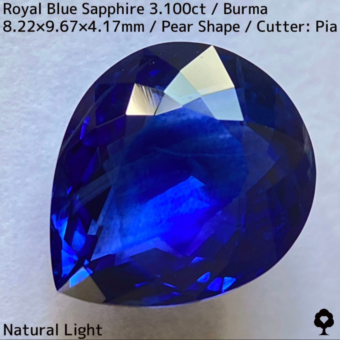 ビルマ産ロイヤルブルーサファイア3.100ct★ふっくらとした可愛いペアシェイプに仕上げられた趣ある超美色ロイヤルブルー