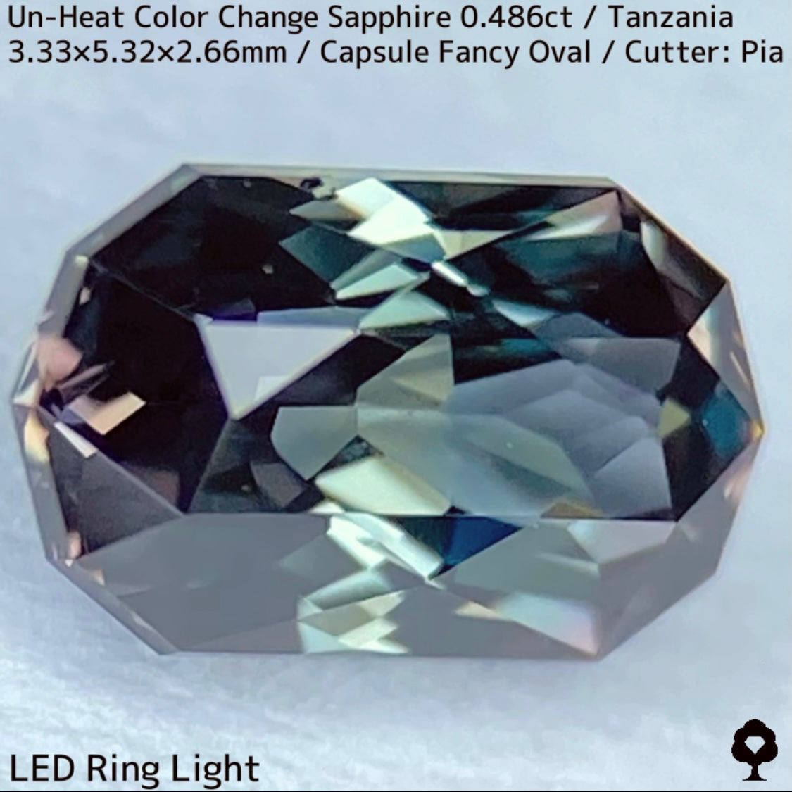 タンザニア産非加熱カラーチェンジサファイア0.486ct★深みの中に潜む多色感とゴールドシルクの銀河広がる