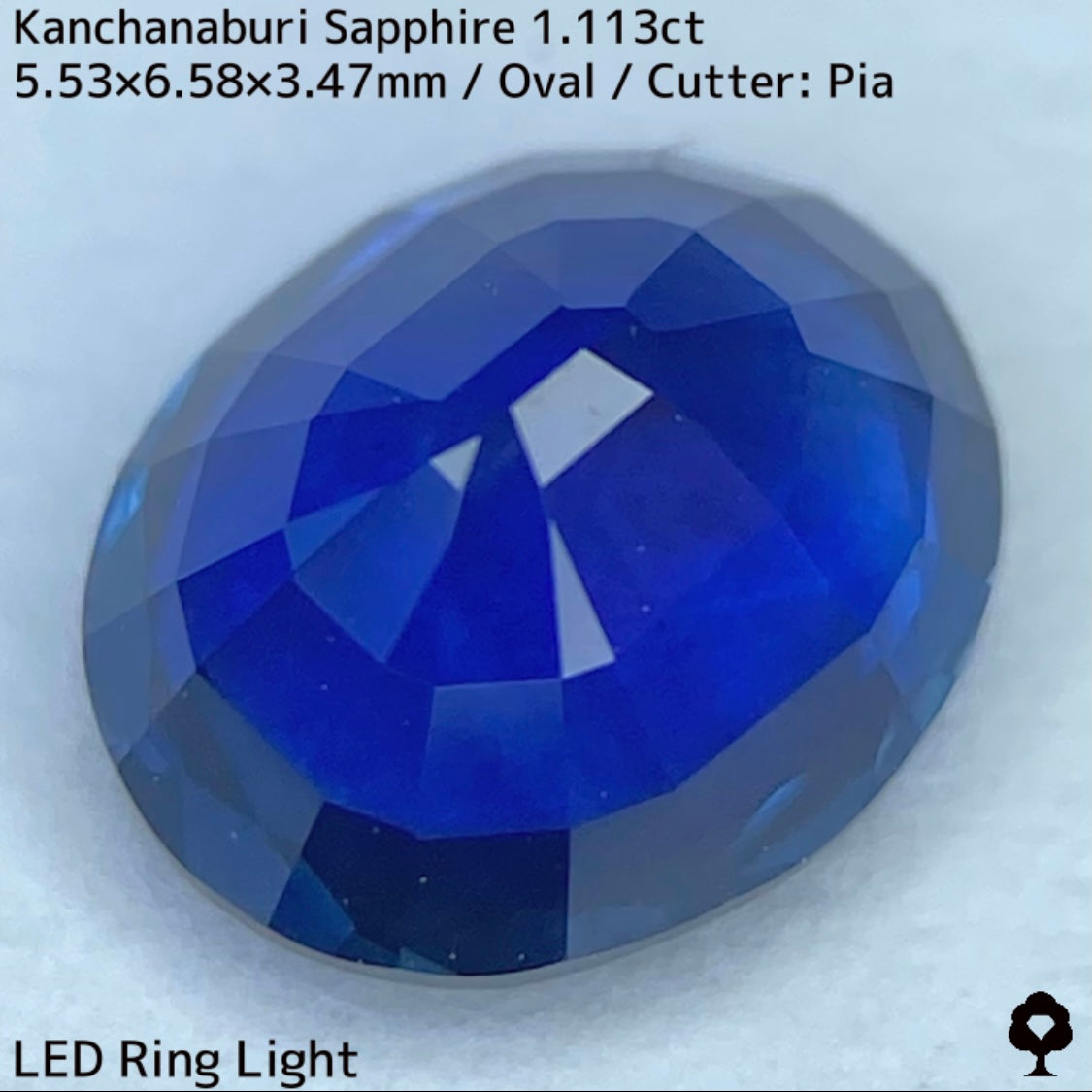 カンチャナブリー産サファイア1.113ct★カンチャらしいシルキーでほんのりグリニッシュなブルーの希少1ctアップ
