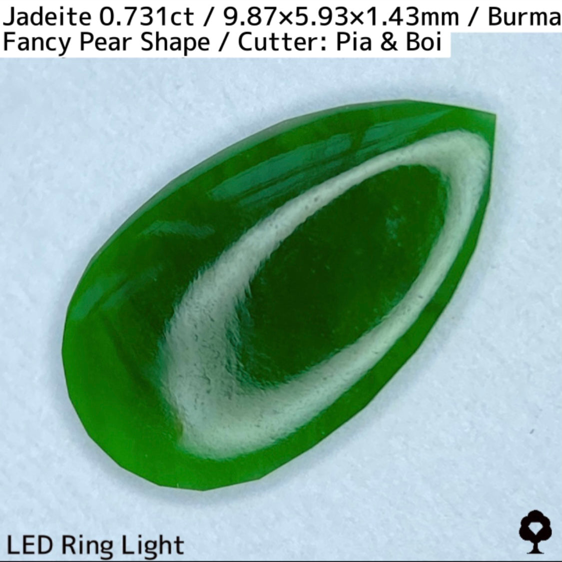 翡翠0.731ct★GTJ創業者大御所のセレクトのお手本翡翠に細やかな縁取り