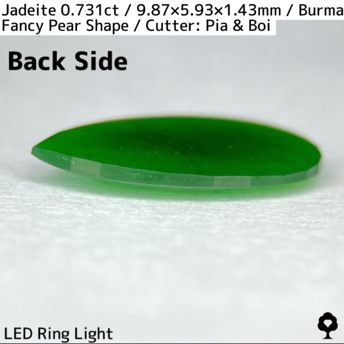 翡翠0.731ct★GTJ創業者大御所のセレクトのお手本翡翠に細やかな縁取り