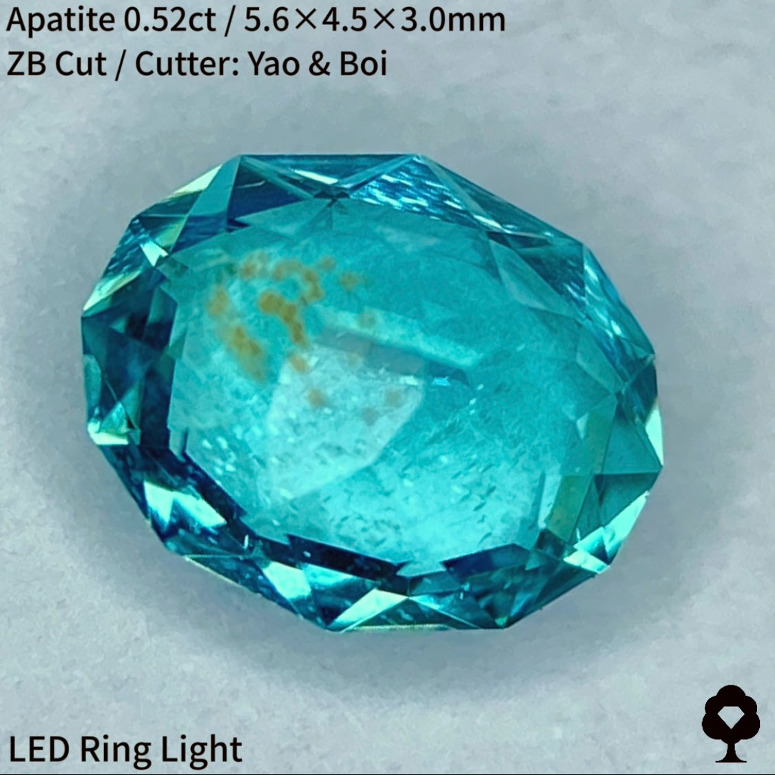 ネオン感あるマリンブルーに金木犀のようなインクルージョン★アパタイト0.52ct