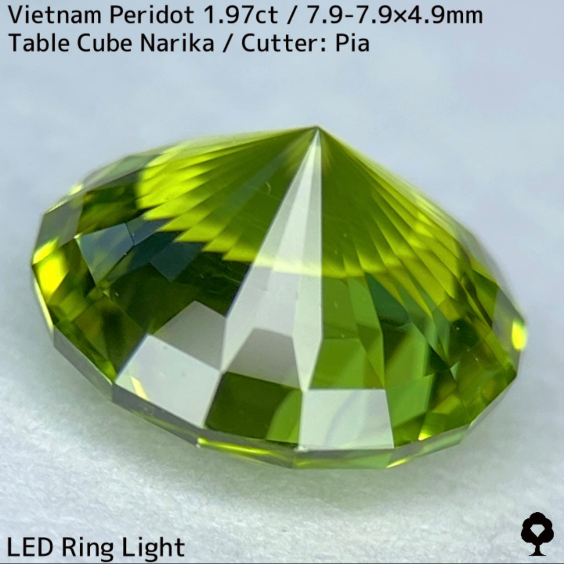 ベトナム産ペリドット1.97ct★さりげなくリリーパッドとシルキーさのある煌めき発色抜群のナリカーカット★