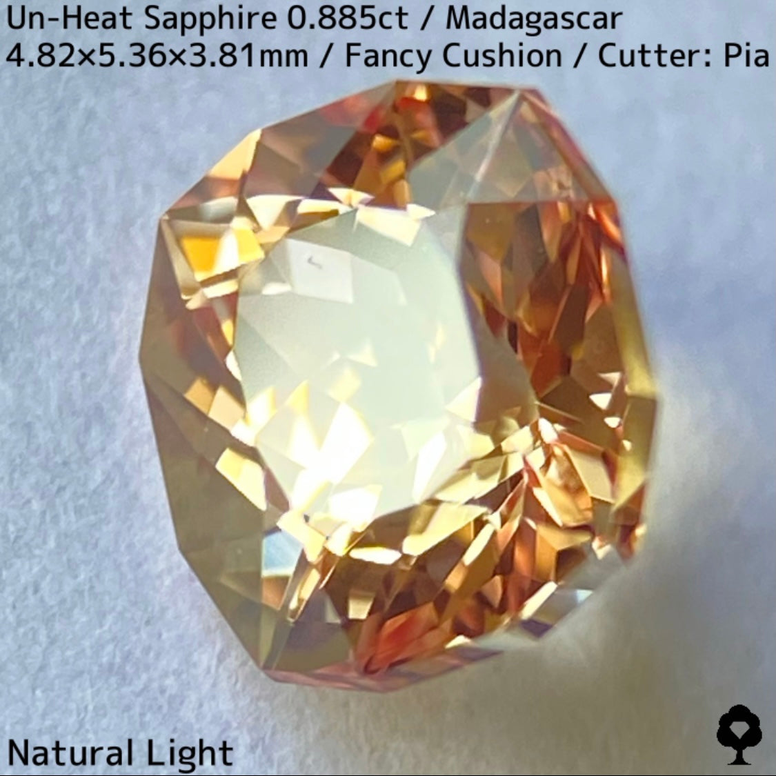 マダガスカル産非加熱サファイア0.885ct★インペリアルトパーズの様なシェリー感ある品と風格ある一石
