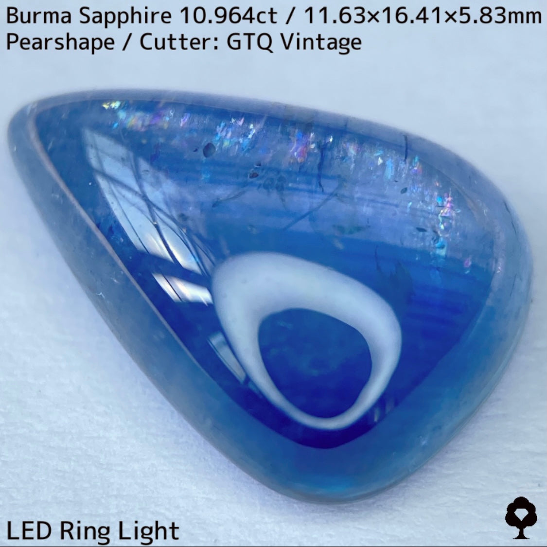 ビルマ産サファイア10.964ct★煌めく虹インクルと実はキャッツが出るなど面白さ詰まった秘蔵品