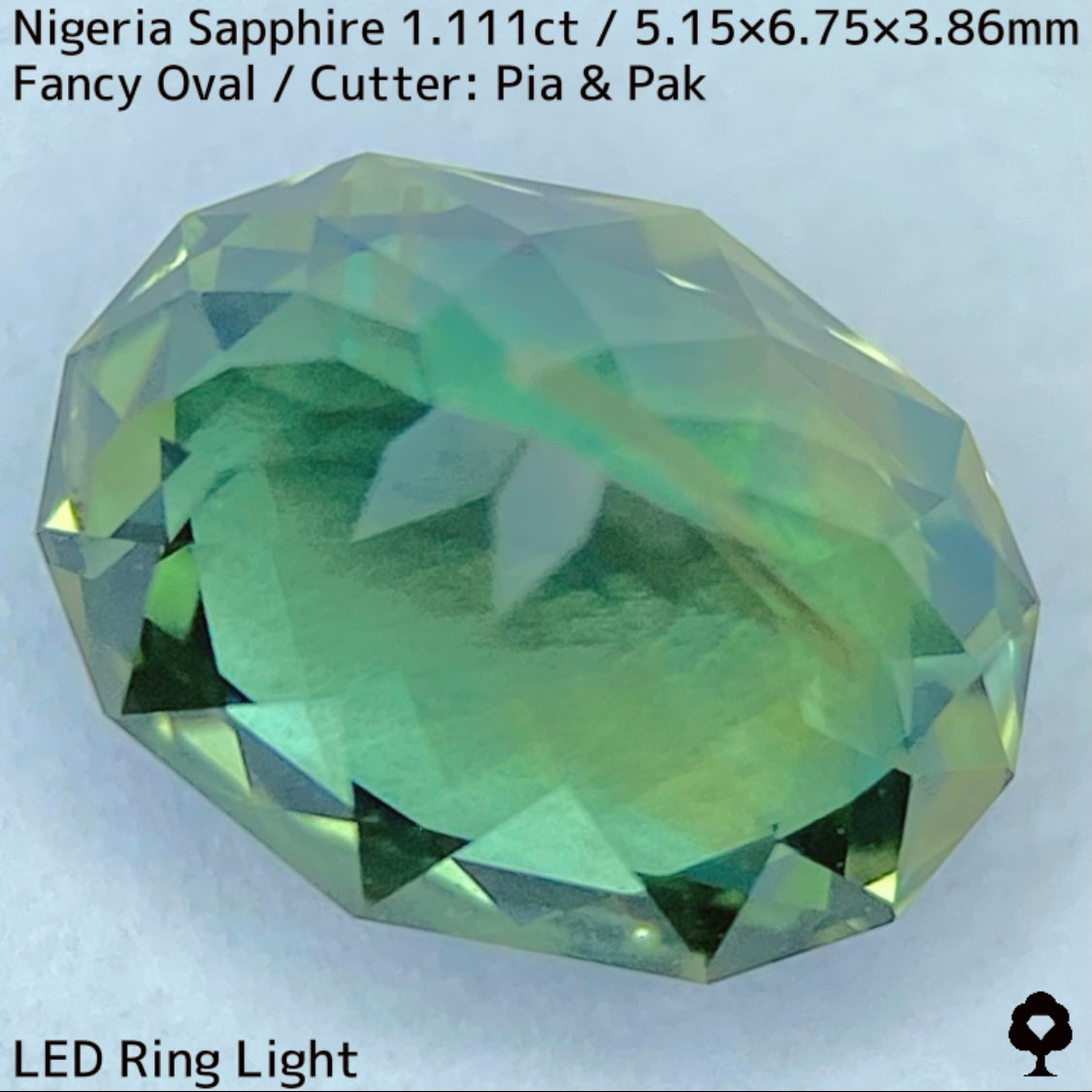ナイジェリア産サファイア1.111ct★ゴールドのラインが美しいたまらなく面白いシルキーブルーイッシュグリーン