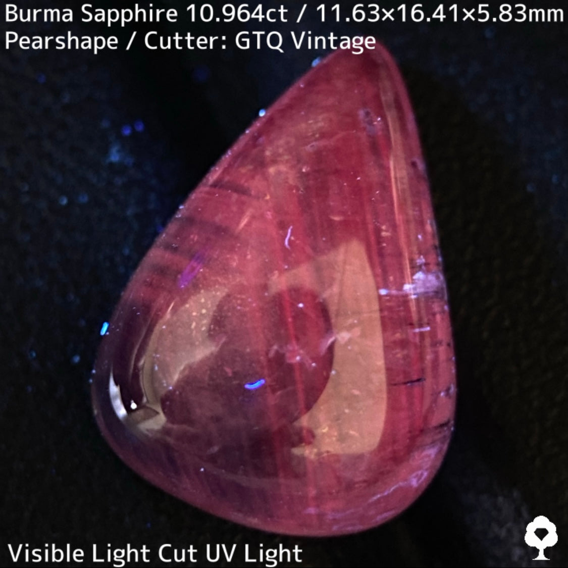 ビルマ産サファイア10.964ct★煌めく虹インクルと実はキャッツが出るなど面白さ詰まった秘蔵品
