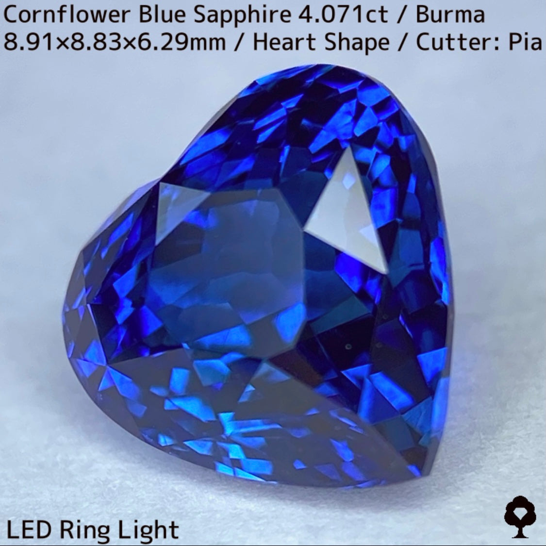 ビルマ産コーンフラワーブルーサファイア4.071ct★ロイヤルブルー寄りの濃いめ最高コーンフラワーブルーが美しすぎる超一級品