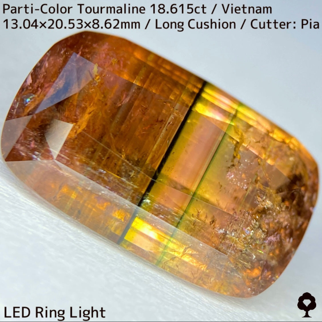 ベトナム産パーティカラートルマリン18.615ct★金屏風桜と夜桜を一石で楽しめる趣深いベトナム巨石