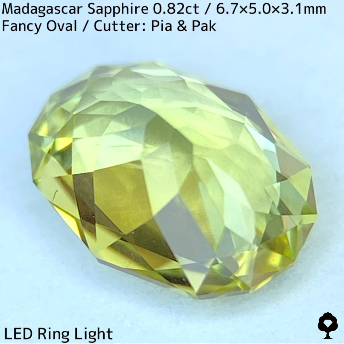 マダガスカル産サファイア0.835ct★煌めき抜群のイエローにブルーの色だまりが混ざるファイアー煌めくライトライムカラー