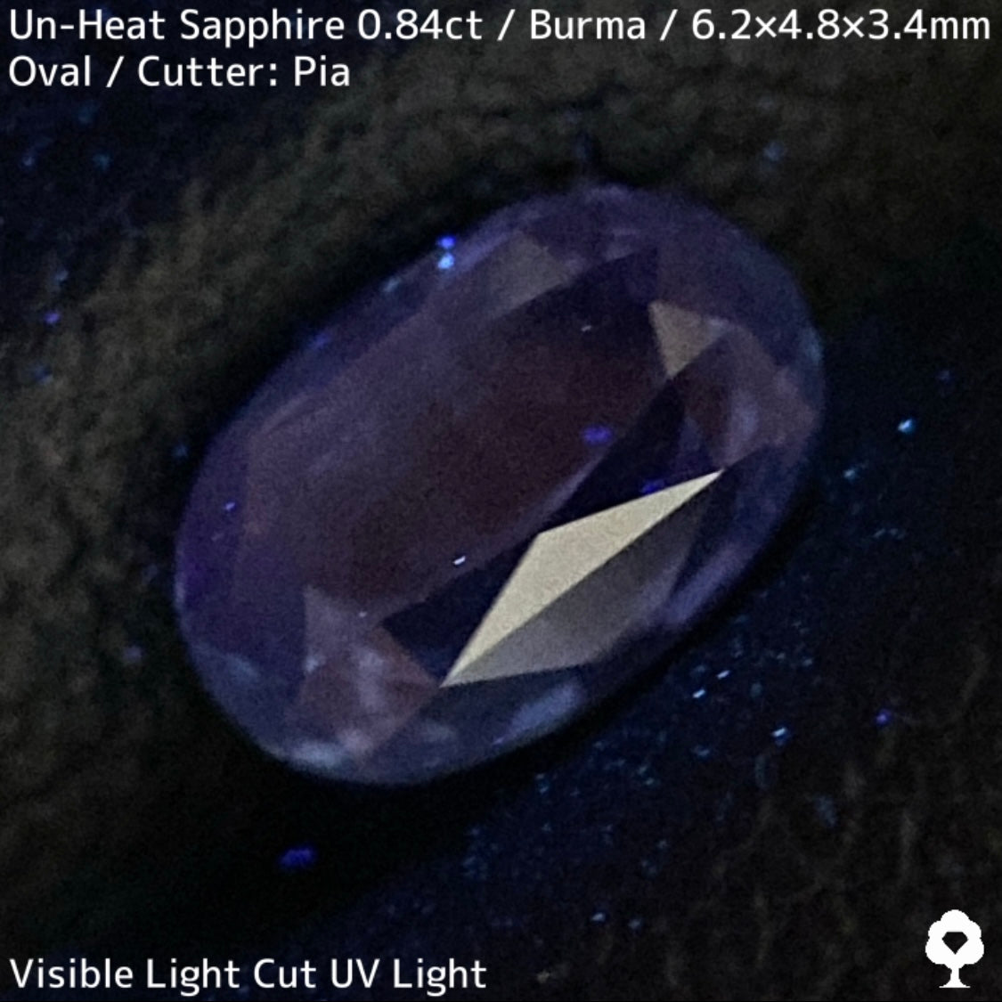 ビルマ産非加熱サファイア0.845ct★シルキーで爽やかな発色の良い希少ビルマ産コーンフラワー系ブルー