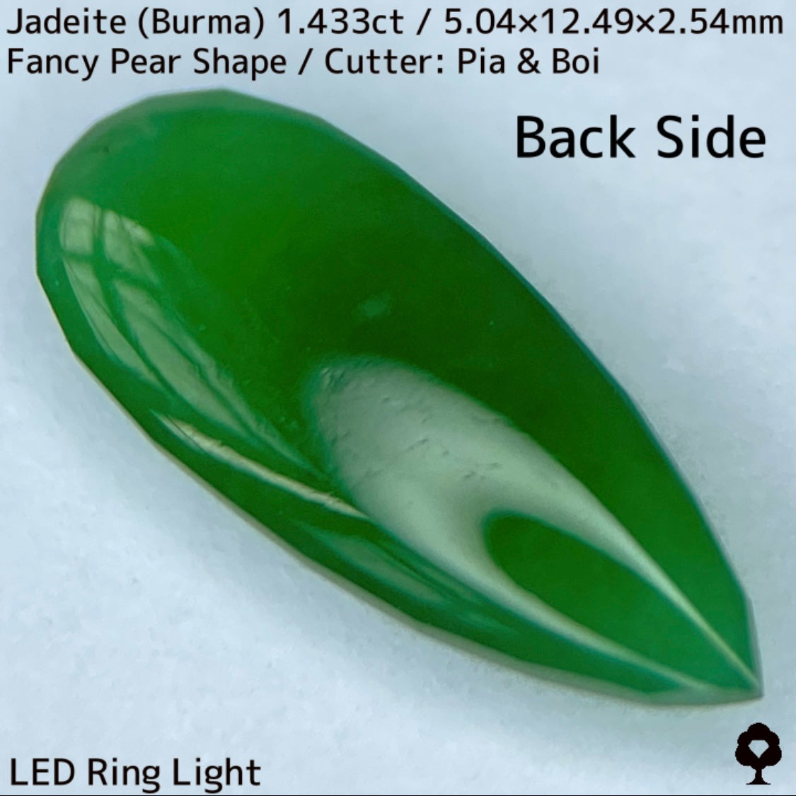 翡翠1.433ct★明るい美グリーンのマスターストーンはGTJならではのさりげなく輪郭が縁取られたツヤツヤファンシーペアシェイプ