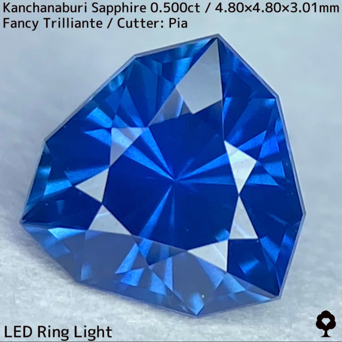 【GW特別企画★30%まほチケキャッシュバック】カンチャナブリー産サファイア0.500ct★シルキーでグリニッシュなカンチャブルーから鋭いナリカーの煌めき