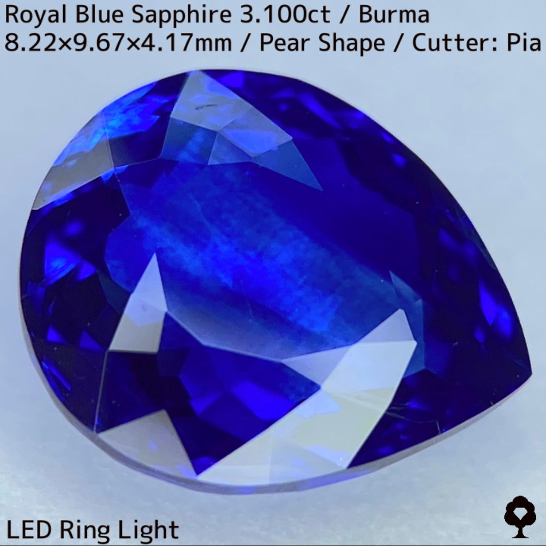 ビルマ産ロイヤルブルーサファイア3.100ct★ふっくらとした可愛いペアシェイプに仕上げられた趣ある超美色ロイヤルブルー