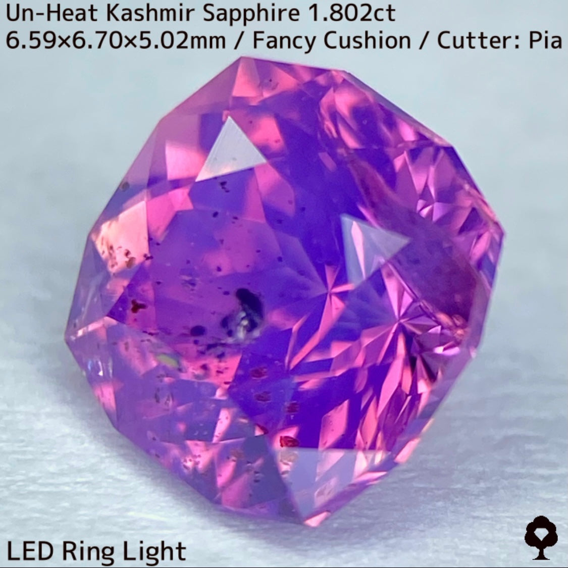 パキスタン産非加熱カシミールサファイア1.802ct★希産カシミールのらしさ全開の名品を色んな光源で楽しんで